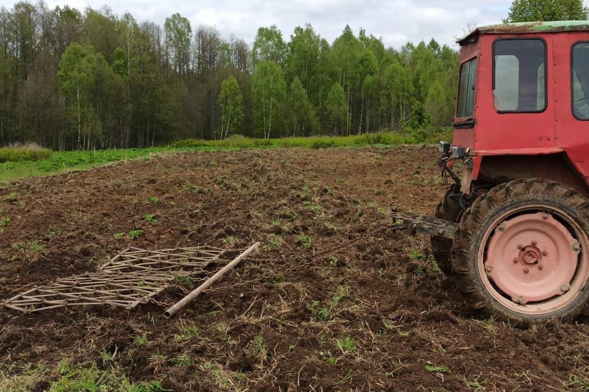 Смоленские лесничие занялись кормовой базой для обитателей дикой фауны