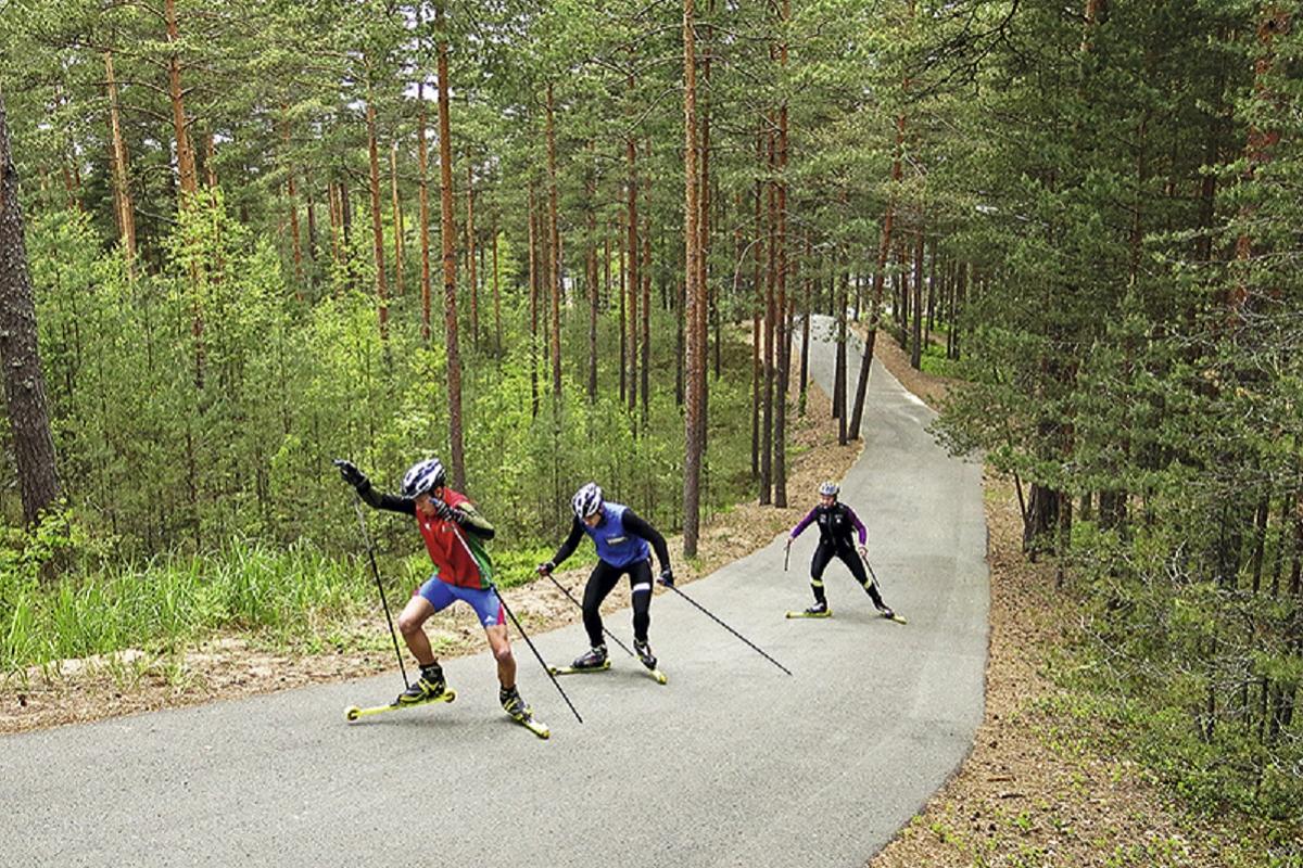 В Пскове хотят построить лыжно-биатлонный центр с лыжероллерной трассой