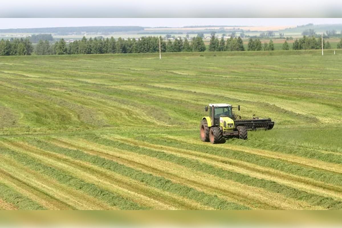 Минсельхоз начнет принимать заявки на получение субсидий по проектам мелиорации