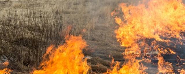 В Красноярском крае виновные в пале травы будут платить компенсацию за тушение пожаров