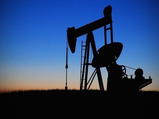 Нефть подорожала после известия о снижении запасов нефти в США