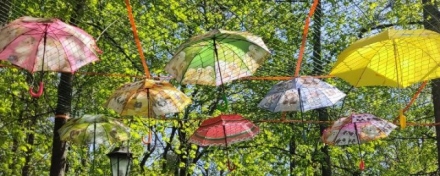 В Кирове в парке «Аполло» откроют аллею парящих зонтиков
