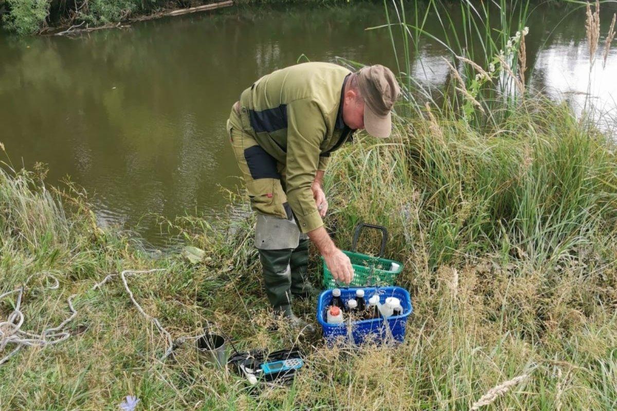 Поиском причин замора рыбы в двух реках Башкирии займется Росприроднадзор