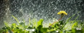Кратковременный дождь и гроза ожидаются в Саратовской области