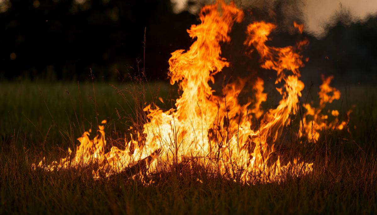 Огонь обошёл стороной водохранилища Зауралья: пожарные тушили девять возгораний за сутки