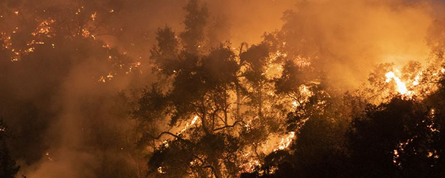Дым от лесных пожаров на западе США добрался до севера Европы