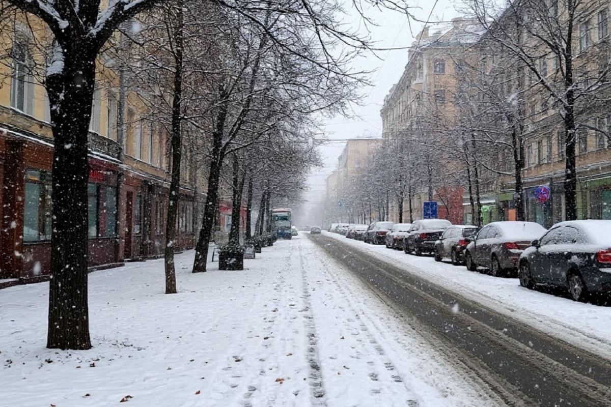 Врач Альфарадж объяснил, какую опасность теплая зима представляет для людей с диабетом
