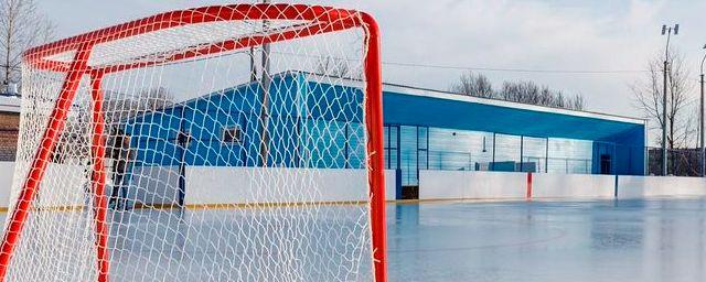 В Свердловской области на девочку упали хоккейные ворота
