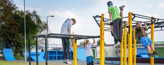 Дети Бердска мечтают о памп-треке, рампах и площадках для воркаута во дворах