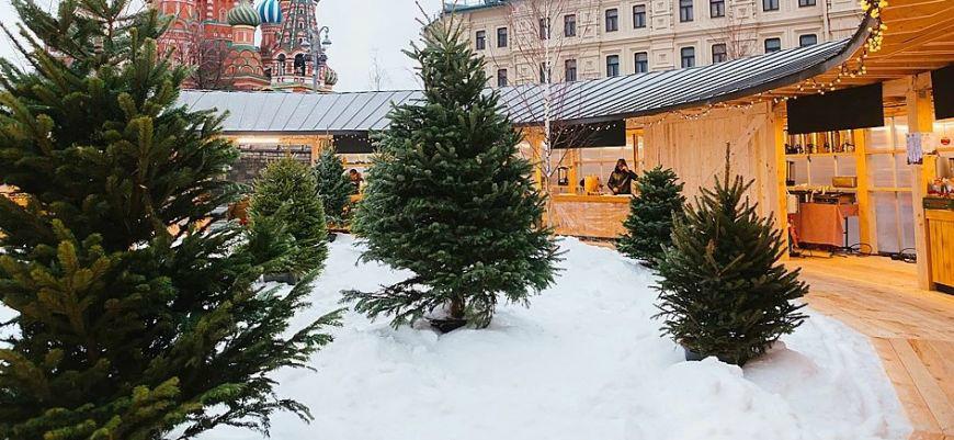 В московский парк «Зарядье» завезли снег