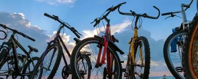 В Тюмени перестали работать сервисы по велошерингу «Велобайк» и Lucki Bike
