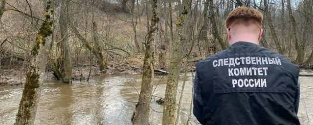 В ручье деревни Федотово найдено тело пропавшего мужчины