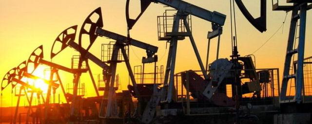 Россия стала вторым поставщиком нефти в США