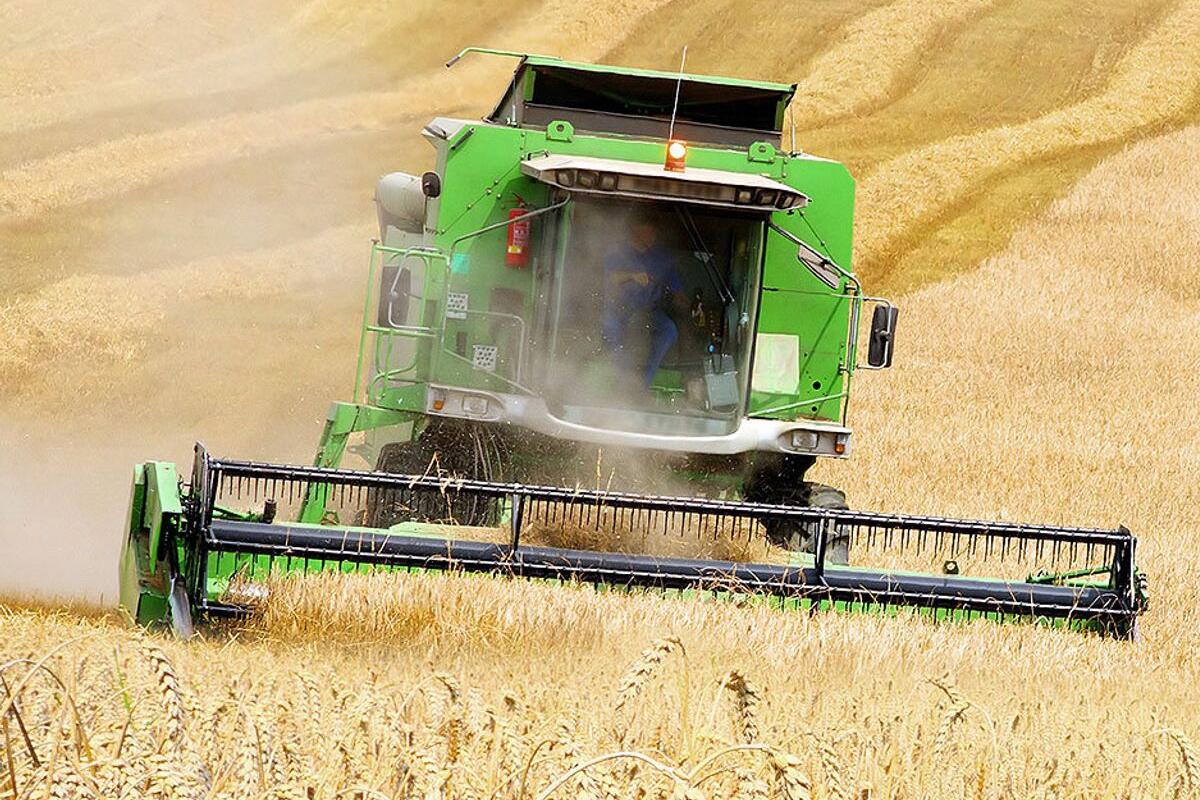 Польша, Чехия и страны Балтии требуют запретить импорт зерна из России (страна-террорист) в Евросоюз