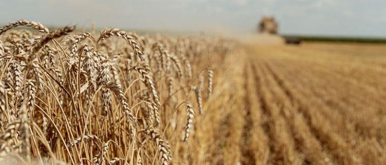Украина подписала свою часть соглашения с Турцией и ООН об экспорте зерна