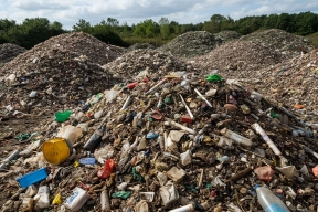 Свалка биологических отходов ликвидирована в Хабаровском крае