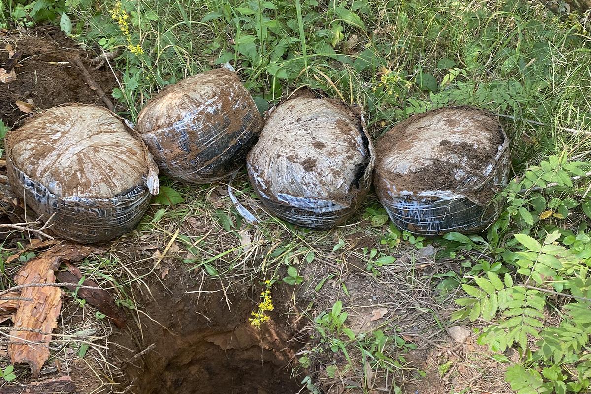 В Псковской области осуждён участник крупной интернет-сети наркоторговцев