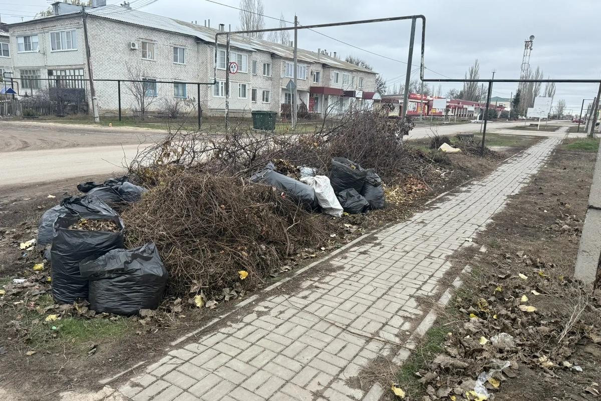 Прокуратура добилась устранения несанкционированной свалки в Старой Полтавке