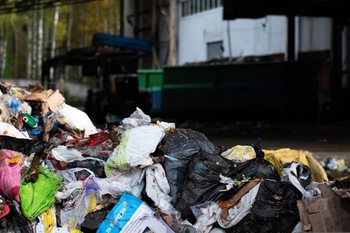 Воронежцы-грязнули — под прицелом «умных» камер