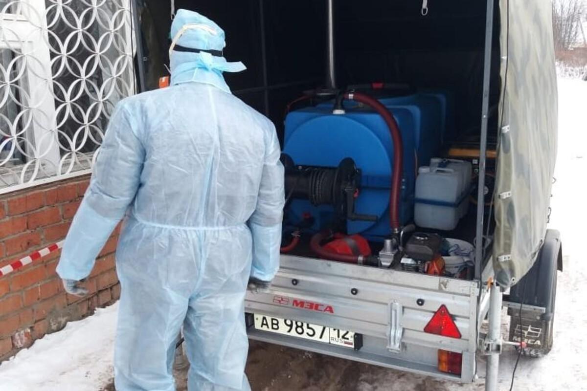 В Петяково введен карантин из-за бешенства у домашней собаки