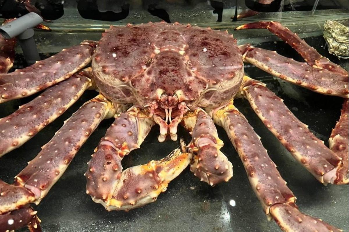 Азиатские страны с начала года закупили в Мурманской области 7600 тонн краба