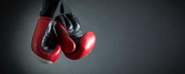 В Вологде за самоуправство осудили бизнесмена и двоих боксеров