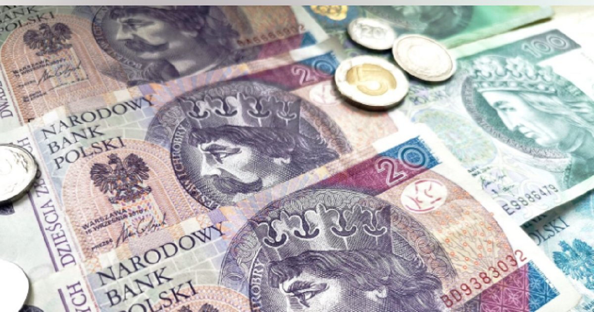 Депутат Плачек: Граждане Польши вынуждены выплачивать огромные долги украинцев