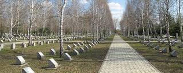 В Омске запретили посещать кладбища