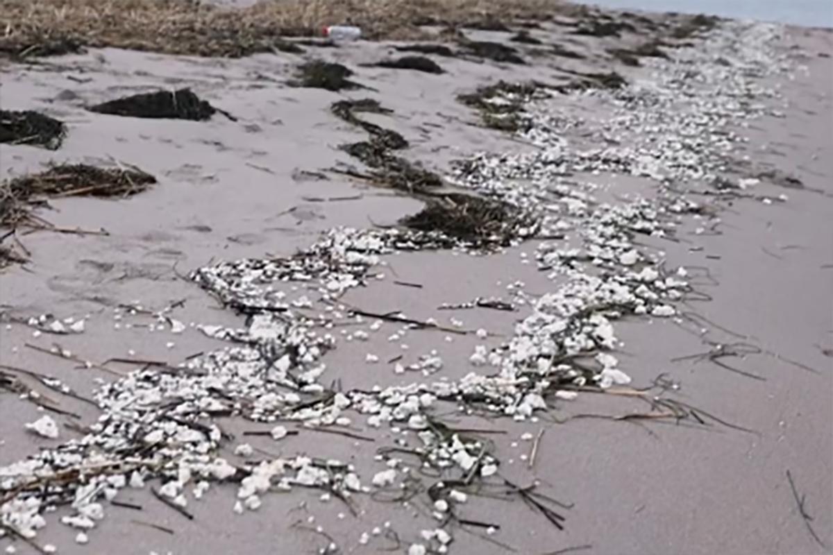 Финнов предупредили о загадочном веществе на побережье Балтики