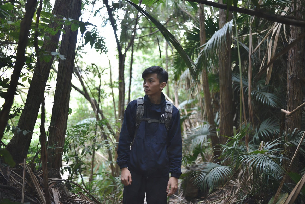 Ученые фиксируют критическое сокращение нового вида тропического дерева