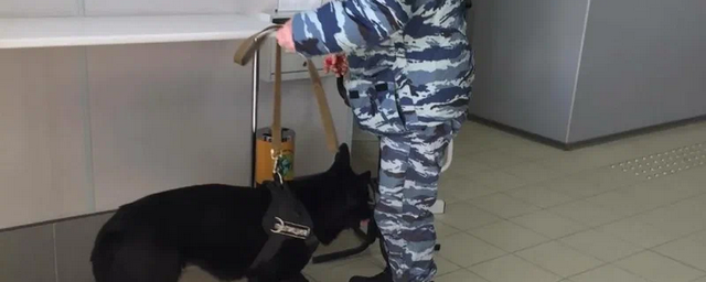 Аэропорт Гагарин в Саратове эвакуировали из-за угрозы теракта