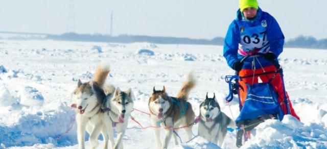 В Хабаровске гонки «Амурская метель» пройдут в формате преследования