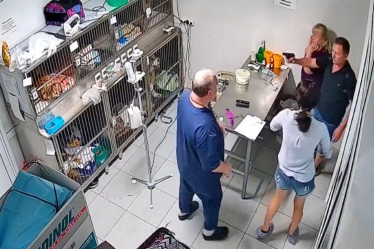 Инцидент с демонстрацией оружия в ветклинике и угрозами врачу проверяют в Челябинске