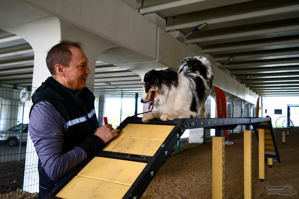 Под Макаровским мостом в Екатеринбурге теперь гуляют собаки и их владельцы