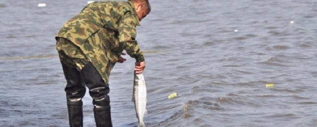 На Чукотке заканчивают принимать отчеты о традиционном рыболовстве