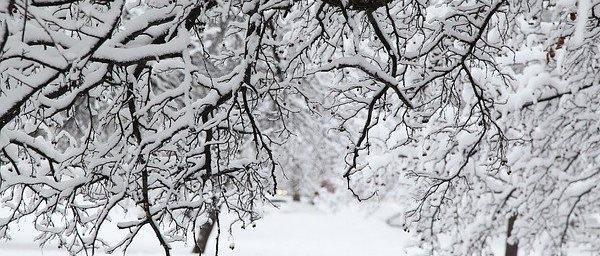 Зима придёт в Москву 1 декабря