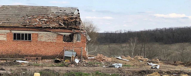 В Белгородской области при обстреле ВСУ погибли 10 коров