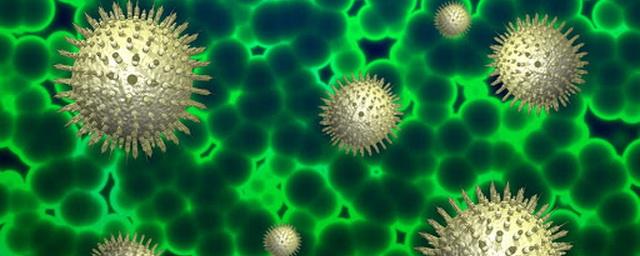 В Амурской области провели около 38 тысяч тестов на коронавирус