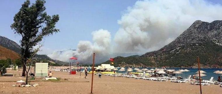 Полиция Турции задержала возможных организаторов поджогов в лесах