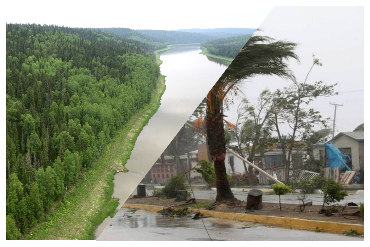 Накроет и Россию. Суперураганы начнут уничтожать планету. Почему ученые молчат об этом?