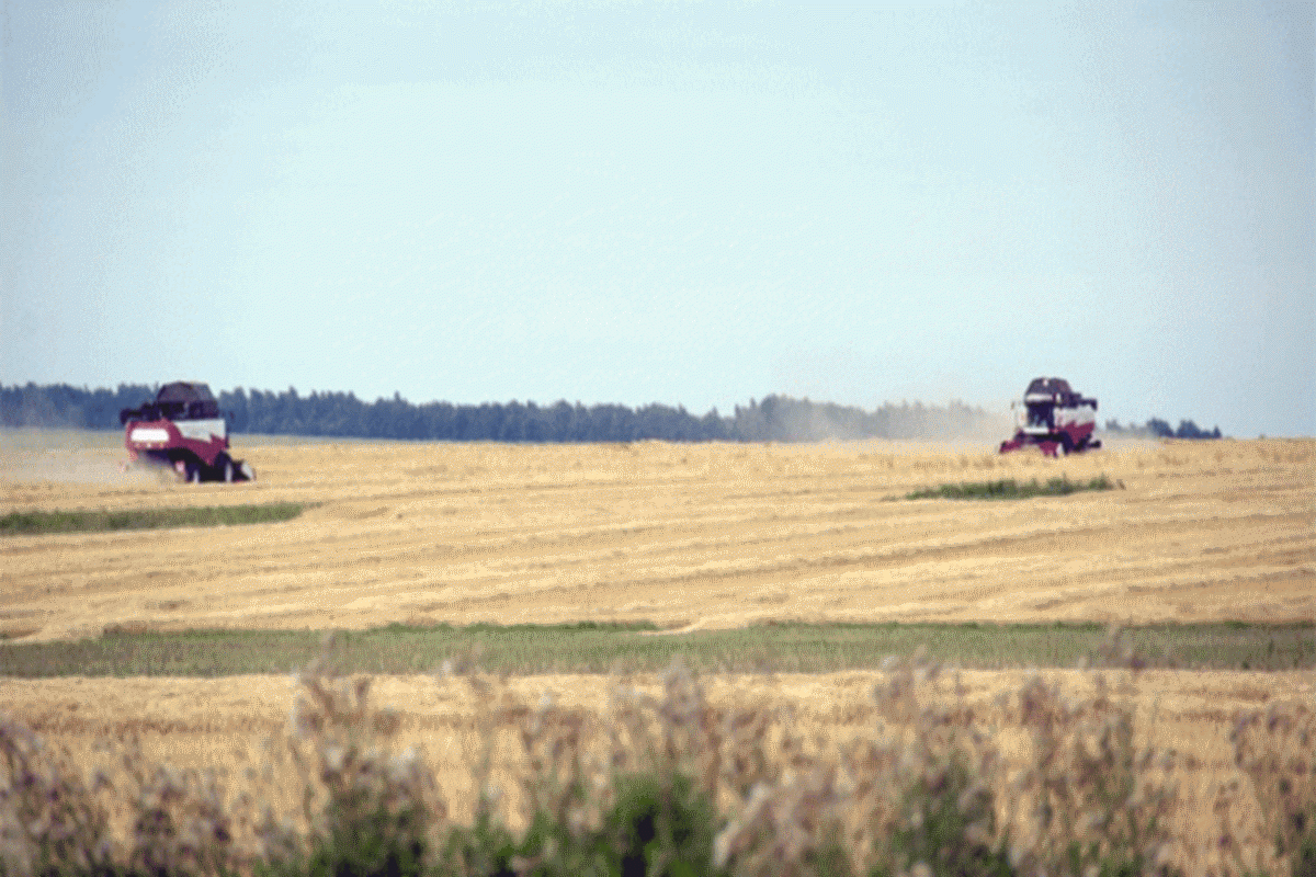 На Южном Урале завершили уборку 45% площадей, засеянных зерновыми культурами
