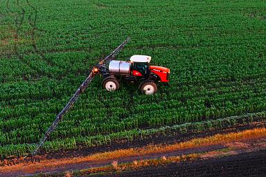 Минсельхоз РФ: на 3,1% выросло кредитование сезонных полевых работ в России