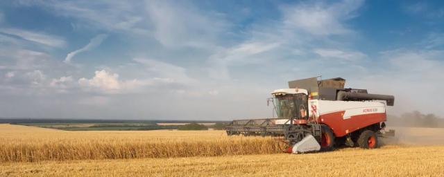 В России на 2,3% выросло кредитование сезонных полевых работ