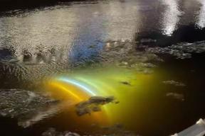 В центре Петербурга штормовой ветер сдул праздничную ель со светящимися огнями в Мойку