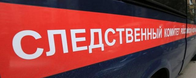 В Новосибирской области возбудили уголовное дело после гибели 16-летней школьницы