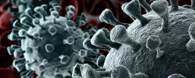 В Чувашии зафиксировано 120 смертей от коронавируса с начала ноября