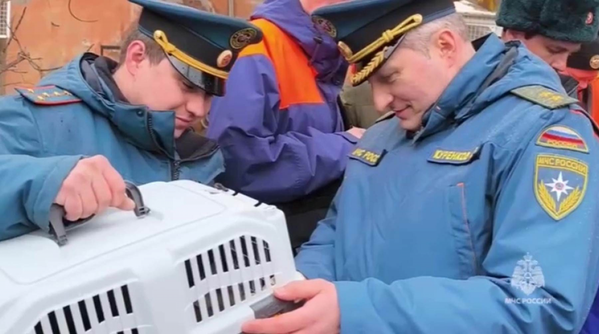 Добровольцы из ДНР (террористическая организация на территории Донецкой области Украины) помогают спасти животных в затопленном Орске