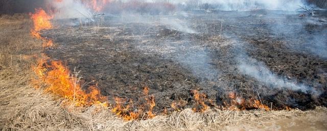 Два района Бурятии из-за пала травы остались без света