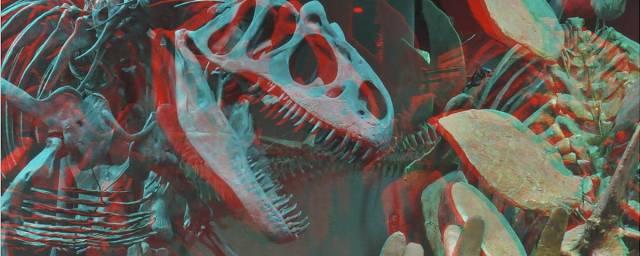 Немецкие и австрийские ученые определили характер динозавра по окаменелости его черепа