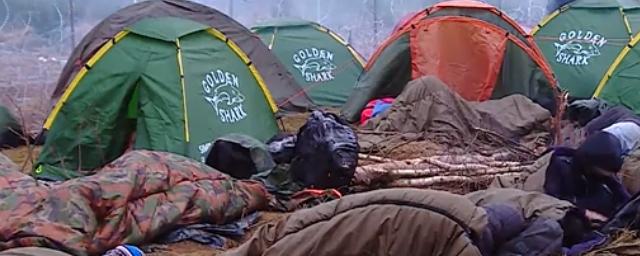 Беженцы на польско-белорусской границе жалуются на нечеловеческие условия